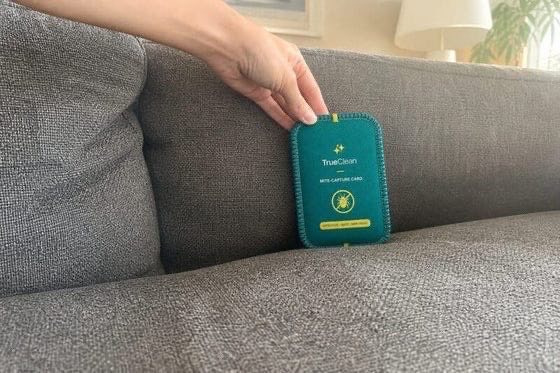 Used them all over the house
