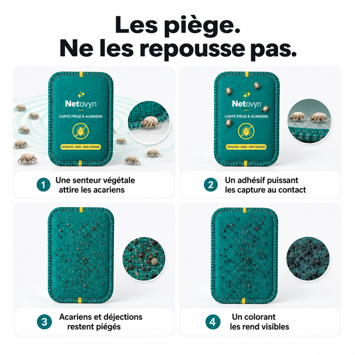 CaptureCards — Dust Mite Traps